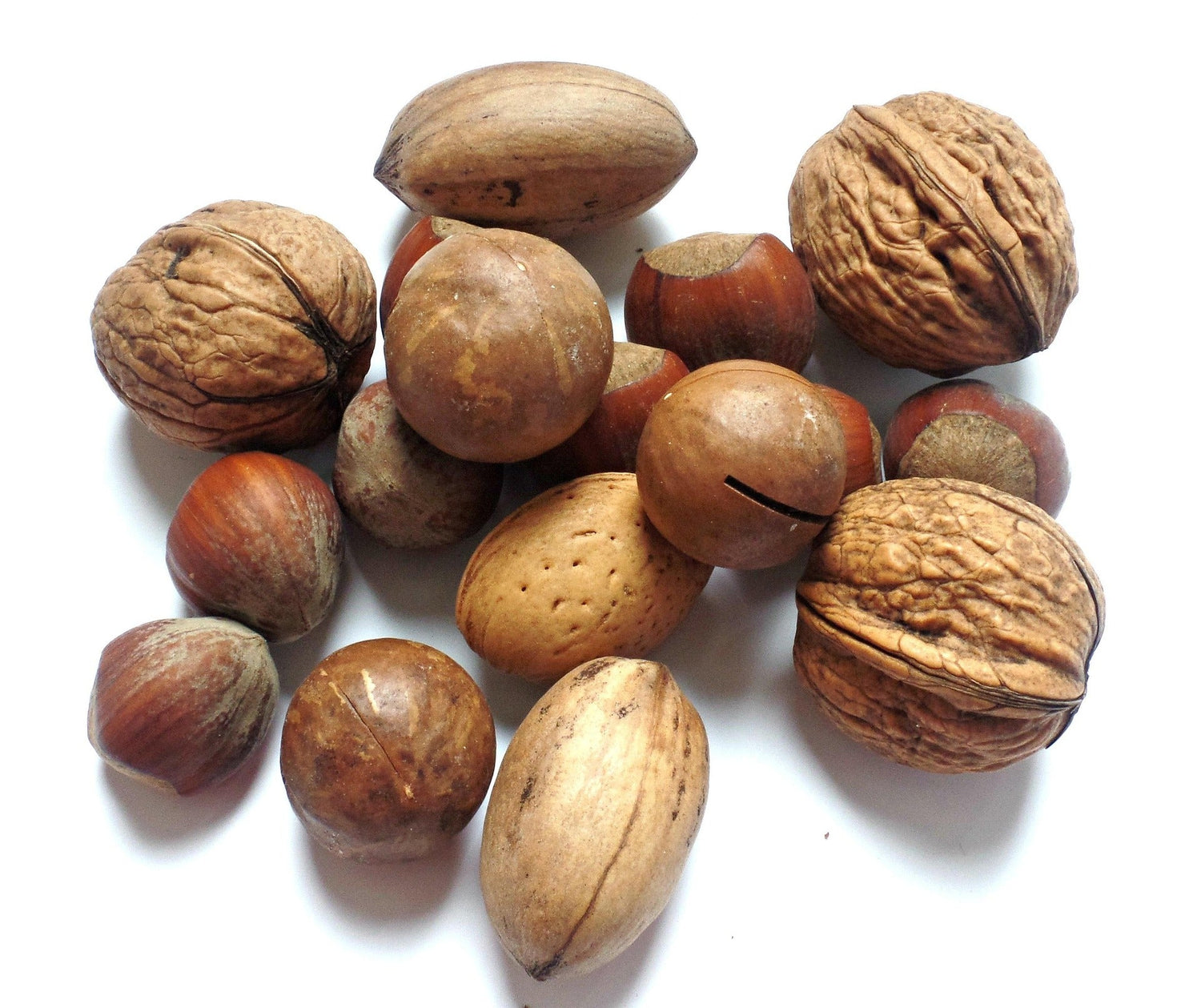 Nuts & Seeds